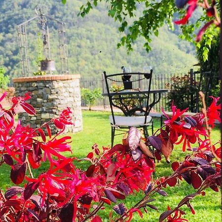 Green House Pieve di Teco Dış mekan fotoğraf