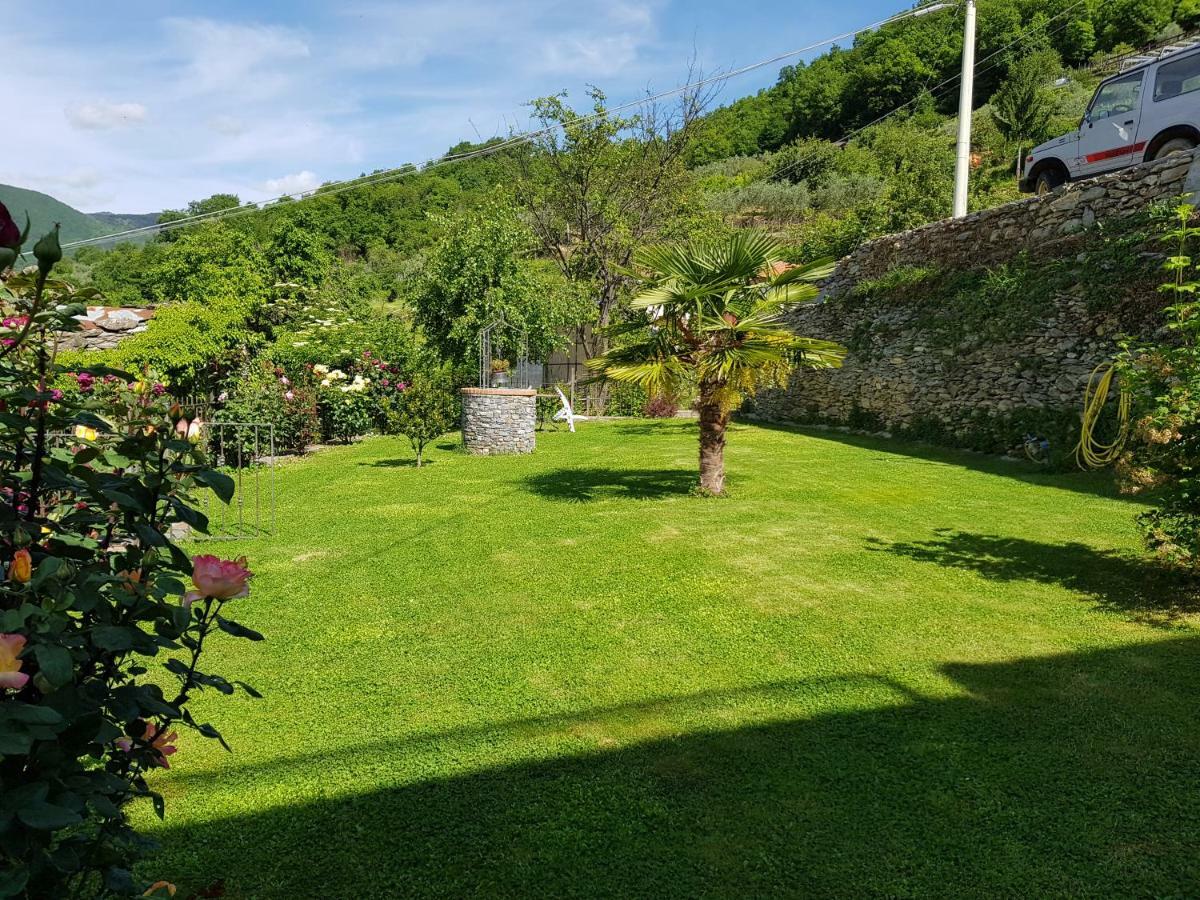 Green House Pieve di Teco Dış mekan fotoğraf