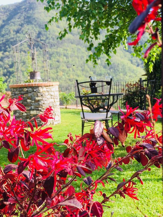 Green House Pieve di Teco Dış mekan fotoğraf